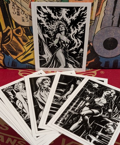 Stray noir 2026 complete set - stray,